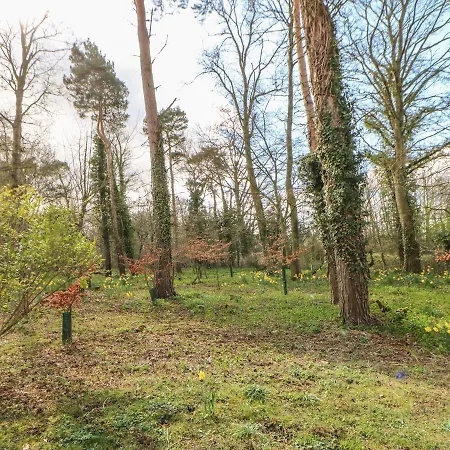 Σπίτι διακοπών Northumberland Lodge, Richmond *